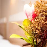 Afrodite Hotel Neoi Poroi
