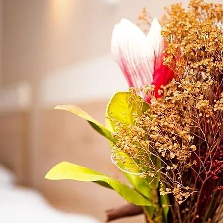 Hotel Afrodite Neoi Poroi