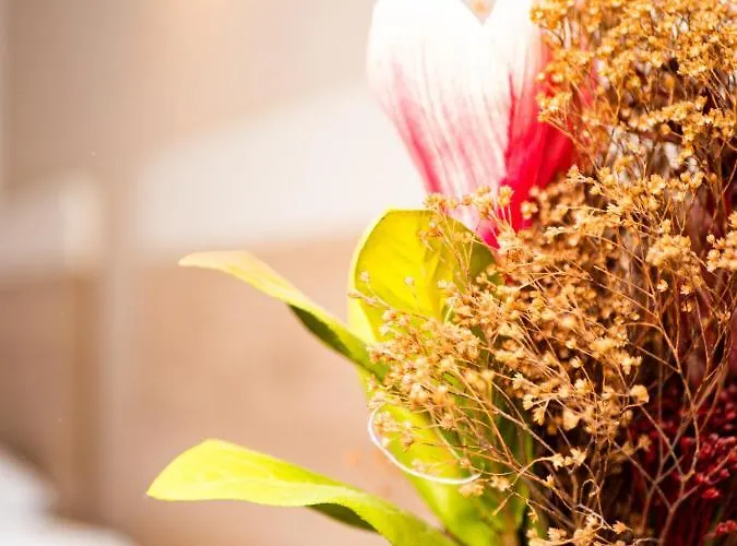 Afrodite Szálloda Néi Póri