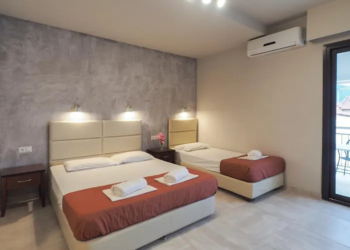 酒店 阿佛洛狄忒海滩酒店 尼欧波洛伊